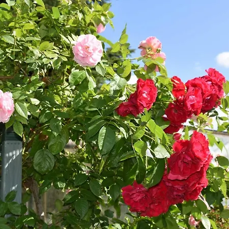 Wiesenblick Kerkwitz