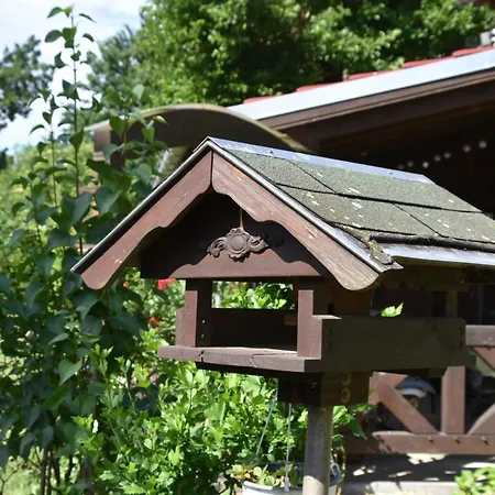 Проживание в семье Wiesenblick