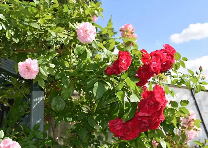 Wiesenblick Kerkwitz